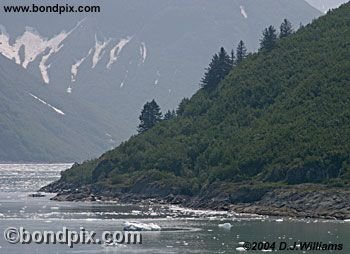 Landscape in Alaska