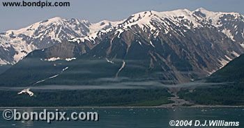 Tongass National rainforest in Alaska