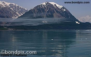 Tongass National rainforest in Alaska