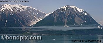 Tongass National rainforest in Alaska