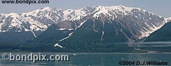 Tongass National rainforest in Alaska