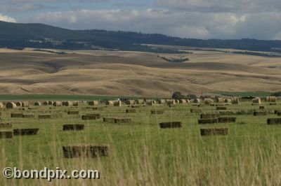 Haystacks in a field in Montana - Round and square bales of hay