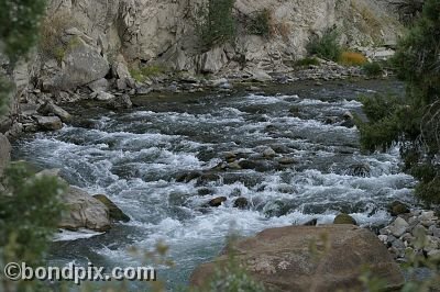 Yellowstone Park