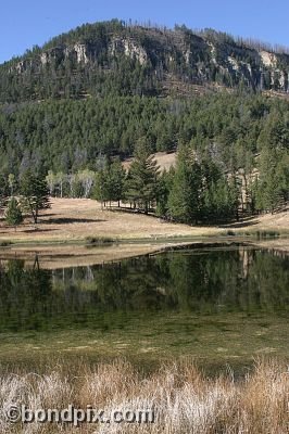 Yellowstone Park