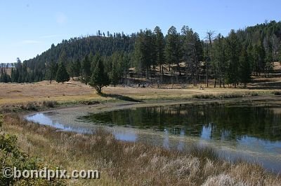 Yellowstone Park