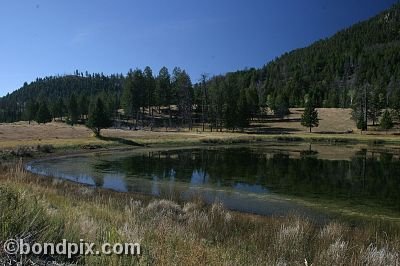 Yellowstone Park