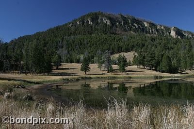 Yellowstone Park