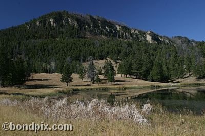 Yellowstone Park