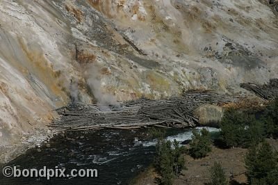 Yellowstone Park