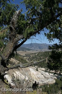 Yellowstone Park