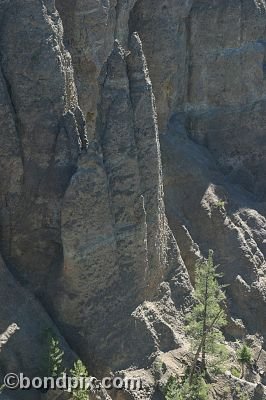 Rock formations in Yellowstone Park