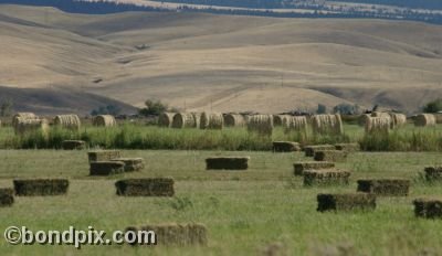 Haystacks in a field in Montana - Round and square bales of hay