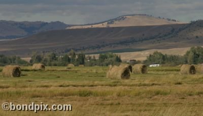 Haystacks in a field in Montana - Round bales of hay