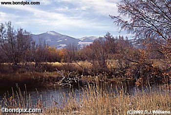 An Autumnal view of Mount Powell from the Clark Fork River in Deer Lodge Montana