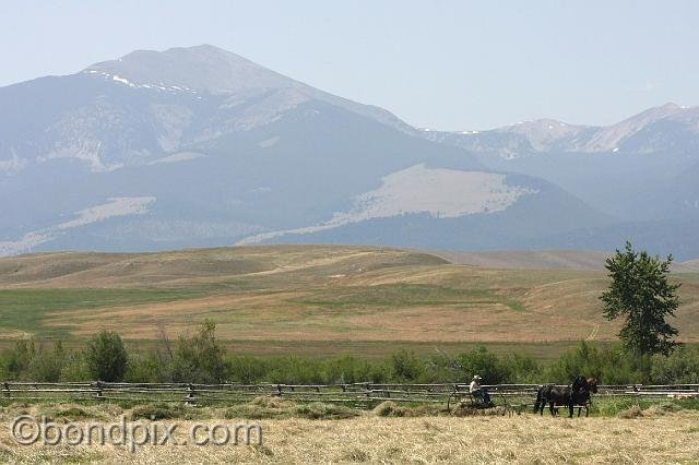 0854.jpg - Horse drawn haying in front of Mount Powell, Montana