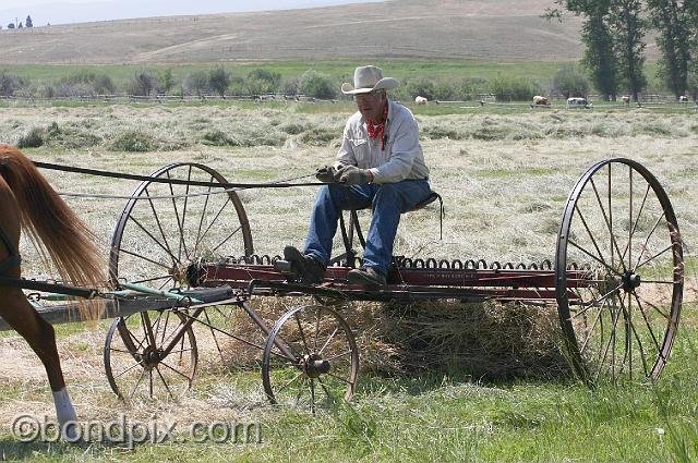 0863.jpg - Old haying equipment