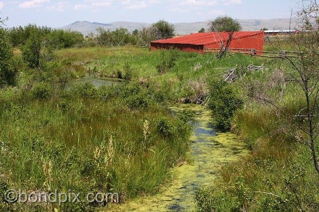 0926.jpg - A drainage ditch on Grant-Kohrs ranch