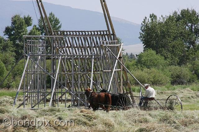 0928.jpg - Haying with horses and Beaverslide