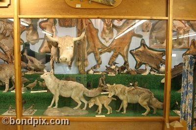 Museum exhibits in Virginia City in Montana