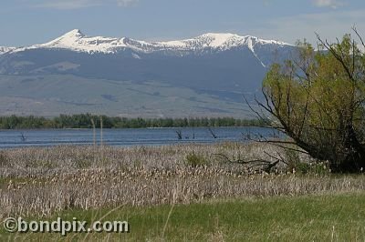 Mount Powell from Warm Springs Ponds, Montana