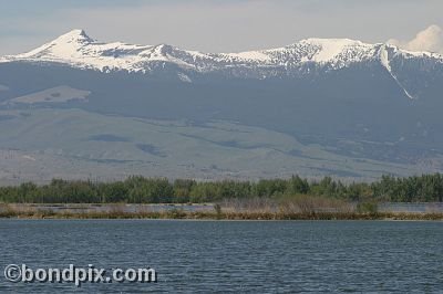 Mount Powell from Warm Springs Ponds, Montana