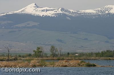 Mount Powell from Warm Springs Ponds, Montana