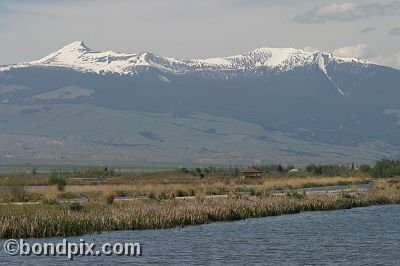 Mount Powell from Warm Springs Ponds, Montana