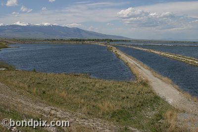 Warm Springs Ponds, Montana