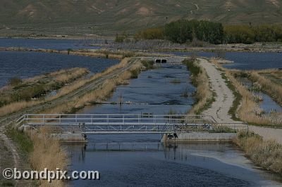 Warm Springs Ponds, Montana