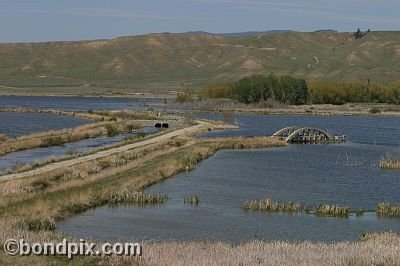 Warm Springs Ponds, Montana