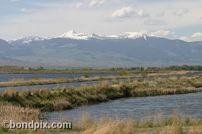 Mount Powell from Warm Springs Ponds, Montana