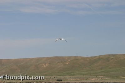 Warm Springs Ponds, Montana