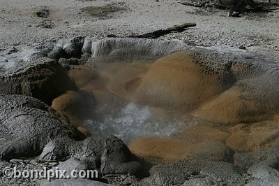 Some of the natural features of Yellowstone Park