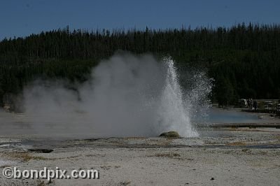 Some of the natural features of Yellowstone Park