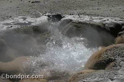 Some of the natural features of Yellowstone Park