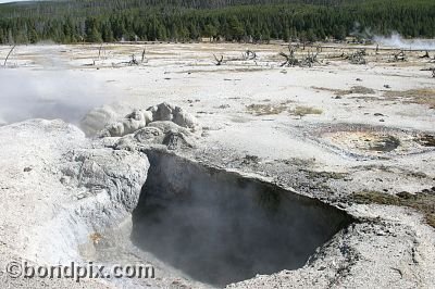 Some of the natural features of Yellowstone Park