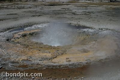 Some of the natural features of Yellowstone Park