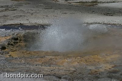 Some of the natural features of Yellowstone Park