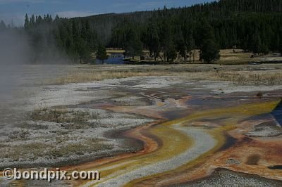 Some of the natural features of Yellowstone Park