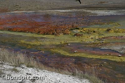 Some of the natural features of Yellowstone Park