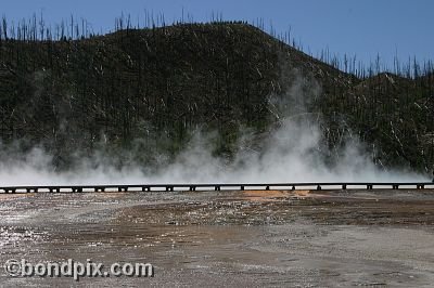 Some of the natural features of Yellowstone Park