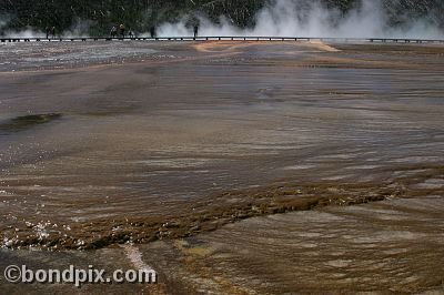 Some of the natural features of Yellowstone Park