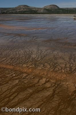 Some of the natural features of Yellowstone Park