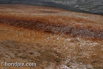 Some of the natural features of Yellowstone Park