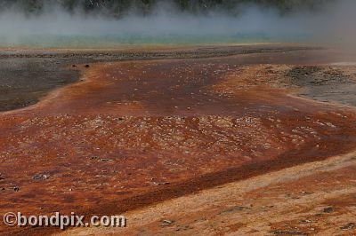 Some of the natural features of Yellowstone Park