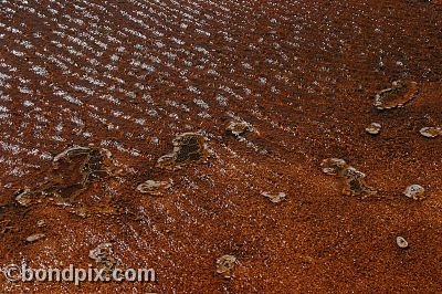 Some of the natural features of Yellowstone Park