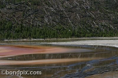 Some of the natural features of Yellowstone Park