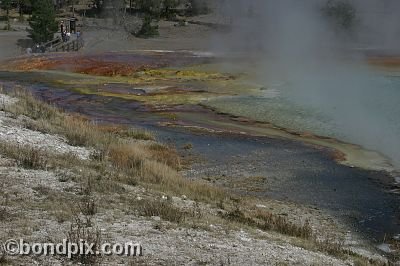 Some of the natural features of Yellowstone Park