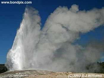 Old Faithful geyser in Yellowstone Park