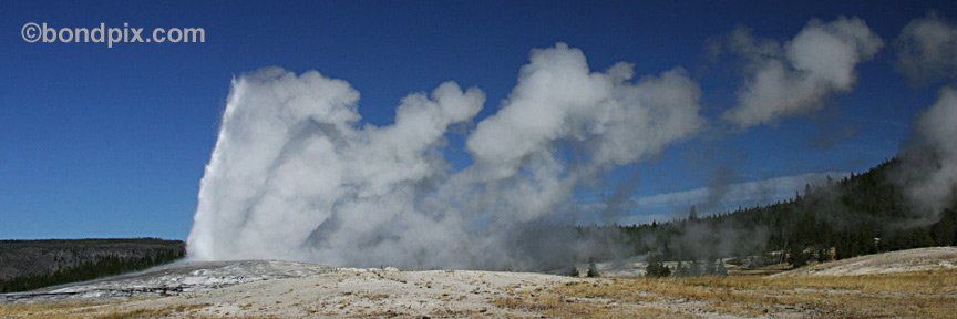 Old Faithful Panoramic Photo